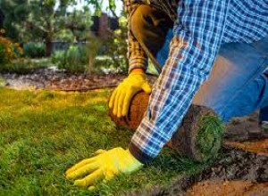 Apporteur d'affaire en espaces verts à Courbevoie